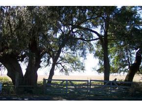 NW 27 St., Morriston, FL 32668