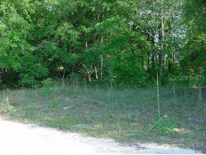 NE 7 Pl/156 Ave., Williston, FL 32696