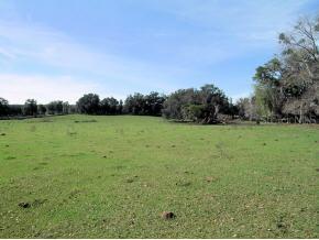 NW 193 Null St., Orange Lake, FL