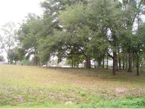 SE 139 Ln., Summerfield, FL 34491