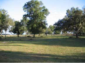 SE 45 Ct., Summerfield, FL 34481