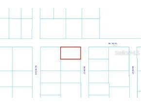 SE 88 Ct., Summerfield, FL 34491