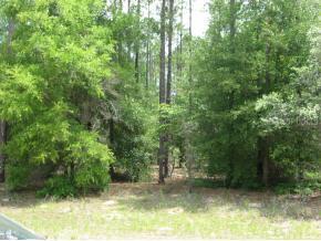 8727 N Stern Null Way, Citrus Springs, FL 34434