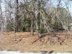 Pecan Ps Loop, Ocala, FL 34472