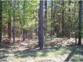 SW 11 Pl., Ocala, FL 34481