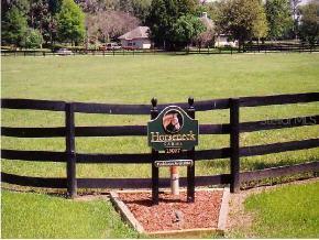 13037 S Highway 475, Ocala, FL 34480