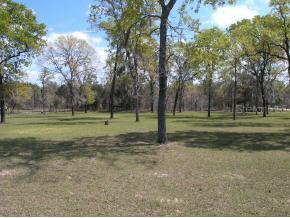 LOT 8 NE Lot 8 19 St., Williston, FL 32696