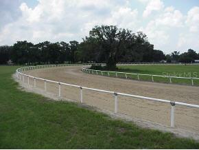12304 NW 35 Ave., Ocala, FL 34482