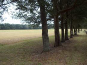 1551 E Highway 316, Ocala, FL 32113