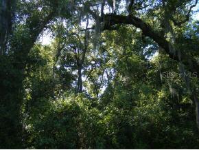 Larch Crs, Ocala, FL 34472