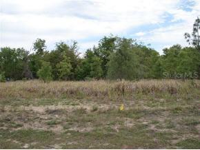 SE Ct Rd., Summerfield, FL 34491