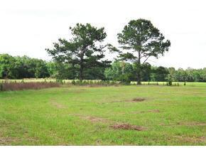 15151 NW 185 St., Williston, FL 32696