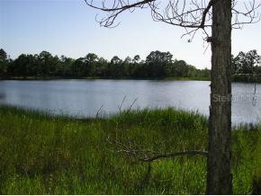 Fisher Ps/malauka Ter., Ocklawaha, FL 32179