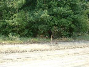 NW 4 St., Ocala, FL 34481