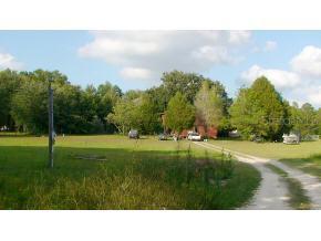 4591 NE 138 Ter., Williston, FL 32696