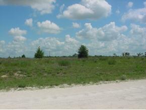 SE 21 Pl., Morriston, FL 32668