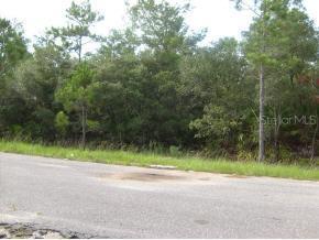 SE Malauka Ps, Ocala, FL 32179