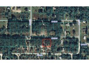 SE 139 Ln., Summerfield, FL 34491