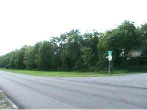 SE 113 St/156 Ave., Ocklawaha, FL 32179