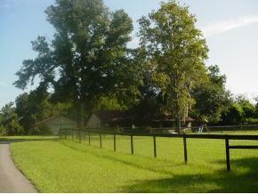 8687 SW 34 Pl., Ocala, FL 34481