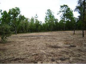 NE 5 St., Williston, FL 32696