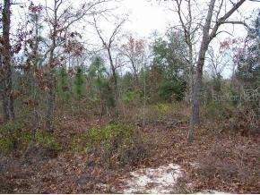 SE 108 Loop, Ocklawaha, FL 32179