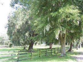 8200 NW Hwy 225a, Ocala, FL 34482