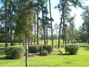 5211 NW 80th Ave Rd., Ocala, FL 34482