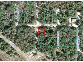 Locust Rad Cir., Ocala, FL 34472