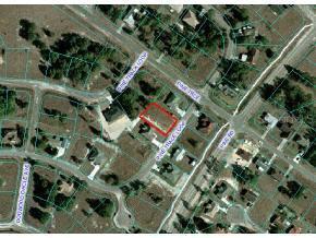 Pine Trc Loop, Ocala, FL 34472