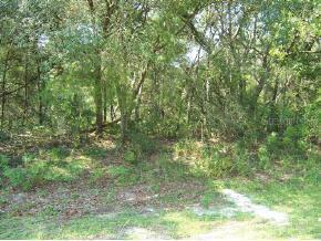 LOT 2 SW Lot 2 Marion Oaks Ln., Ocala, FL 34473
