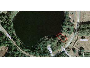 Malauka Rad Ln., Ocklawaha, FL 32179