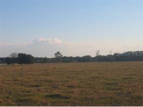 E Levy St., Williston, FL 32696