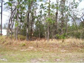 LOT 44 Lot 44 Redwood Rd., Ocala, FL 34472