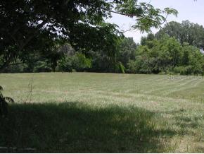 NW 90 Ave., Ocala, FL 34482