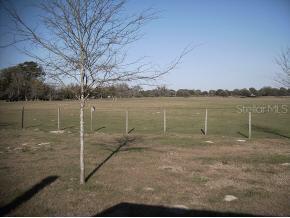 9801 NW 160 Ave., Morriston, FL 32668