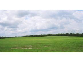 SE 150 Ave., Morriston, FL 32668