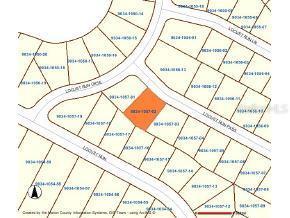 Locust Ps Run, Ocala, FL 34472