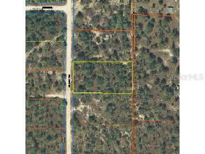 NE 141 Ter., Williston, FL 32696