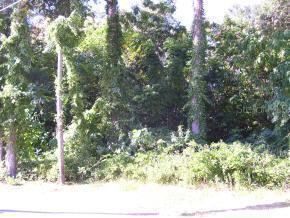 SE 11 Ave., Ocala, FL 34471