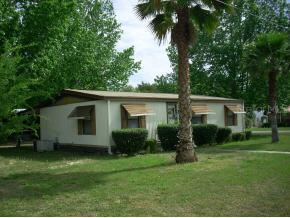 9135 SE 146 St., Summerfield, FL 34491
