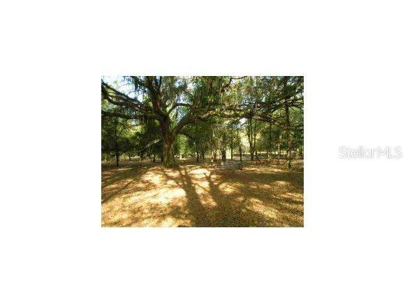 SE 150th St., Summerfield, FL 34491