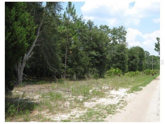 NE 194 St., Citra, FL