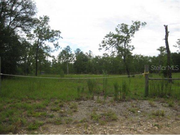 370 SE 148 Ave., Williston, FL 32696