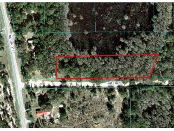 NE 139 Null Pl., Fort Mccoy, FL 32134