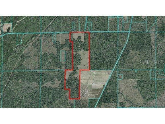 NE 90 Null St., Silver Springs, FL 34488