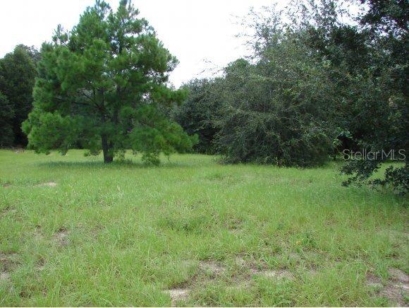 SE 135 St., Summerfield, FL 34491