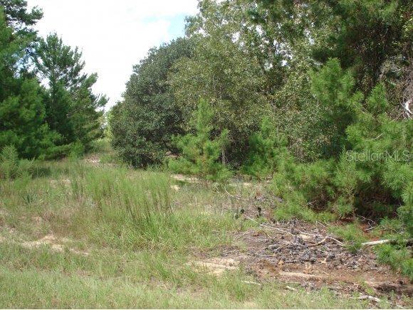 Fisher Course Ln., Ocklawaha, FL 32179