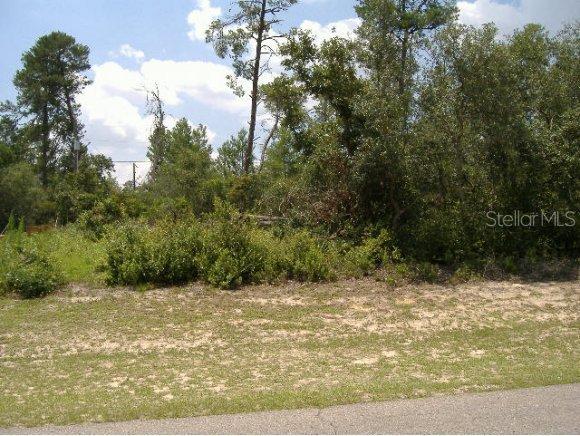 SE 147 Ln., Belleview, FL 34420