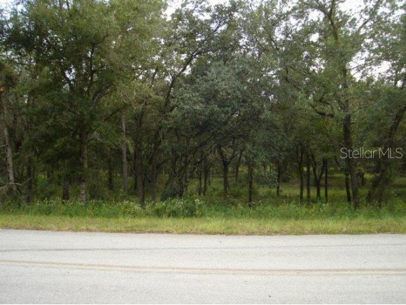 NW 7 Blvd., Williston, FL 32696